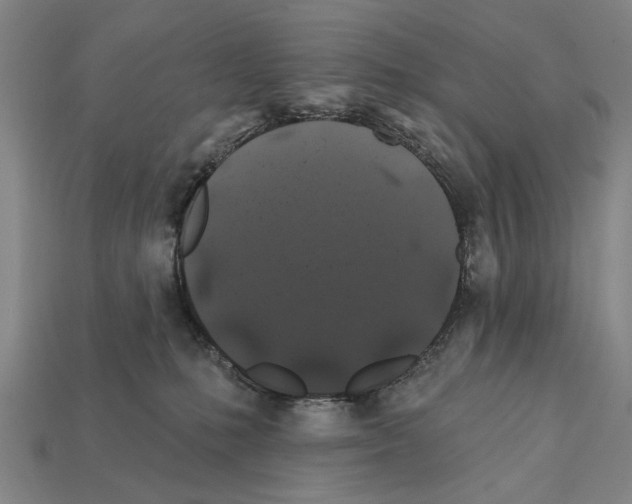 X0000112200231200909181540