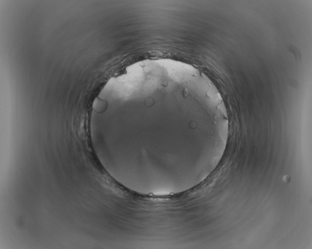 X0000112200233200909181540