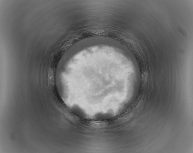 X0000112200234200909181540