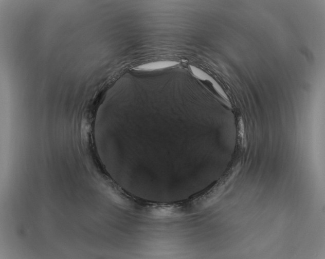 X0000112200235200909181540