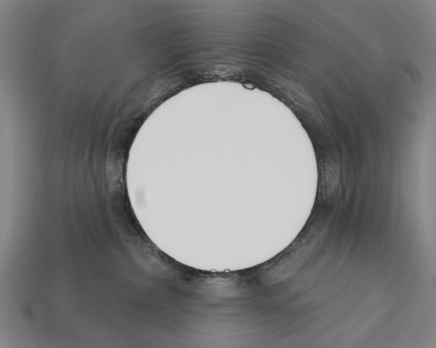 X0000112200236200909181540