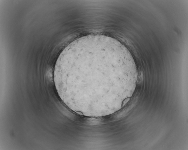X0000112200238200909181540