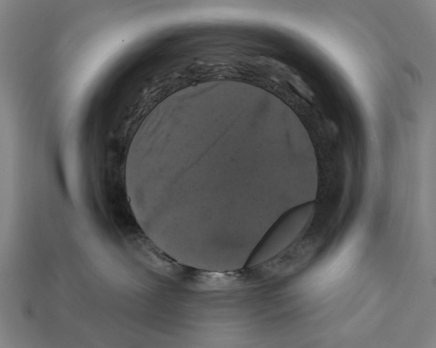 X0000112200239200909181540