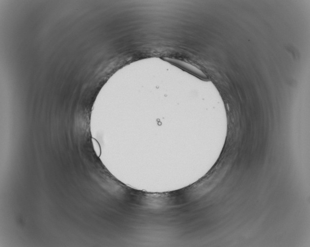 X0000112200240200909181540