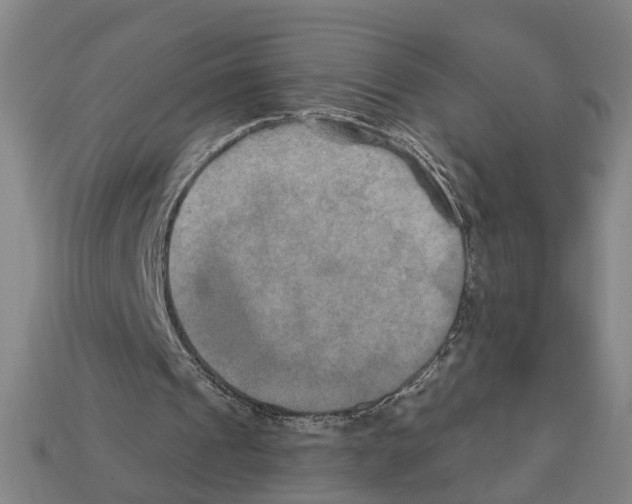 X0000112200241200909181539