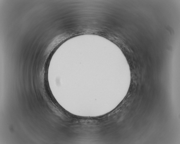 X0000112200242200909181539