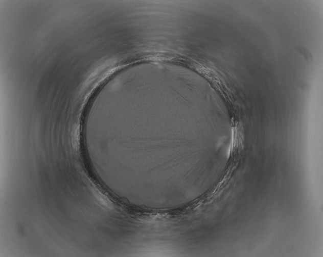 X0000112200243200909181539