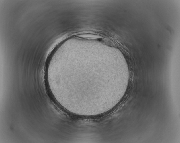 X0000112200244200909181539