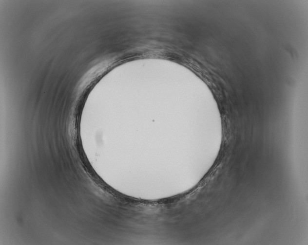 X0000112200245200909181539