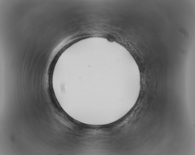 X0000112200246200909181539