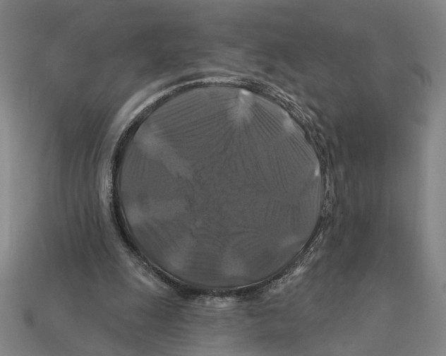 X0000112200247200909181539
