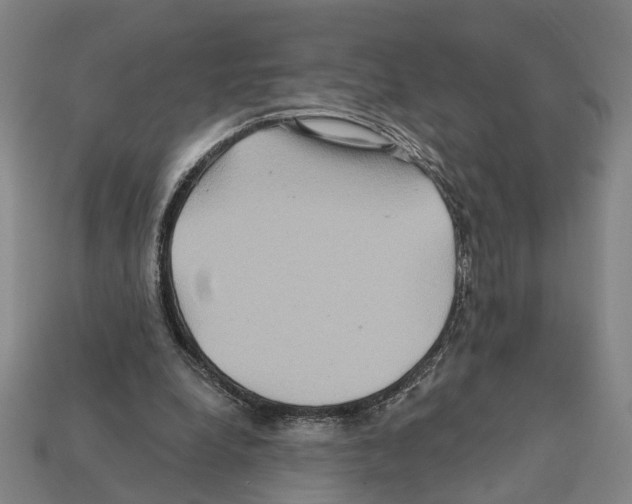 X0000112200248200909181539