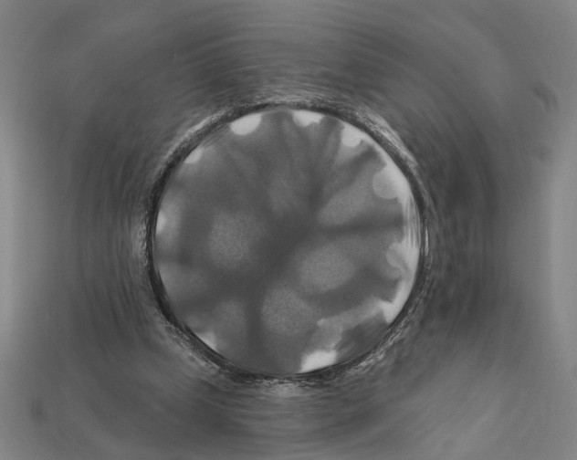 X0000112200249200909181539