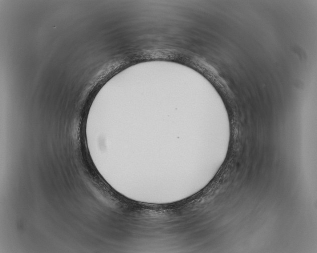 X0000112200250200909181539
