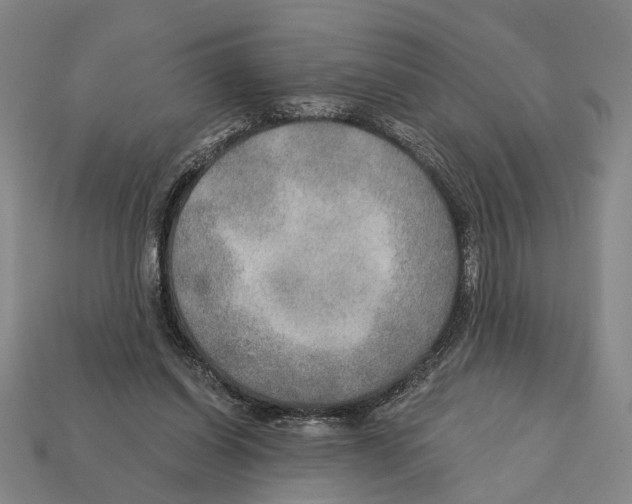 X0000112200254200909181539