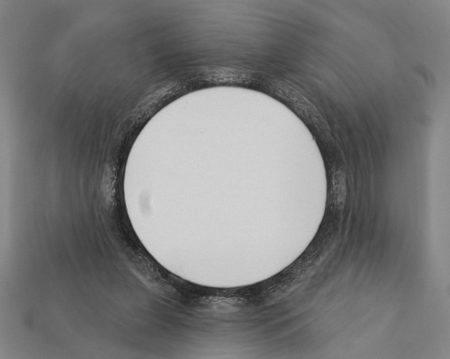 X0000112200255200909181539