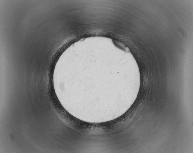 X0000112200256200909181539