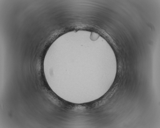X0000112200257200909181539