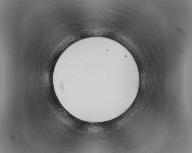 X0000112200258200909181539