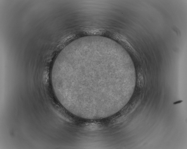X0000112200259200909181539