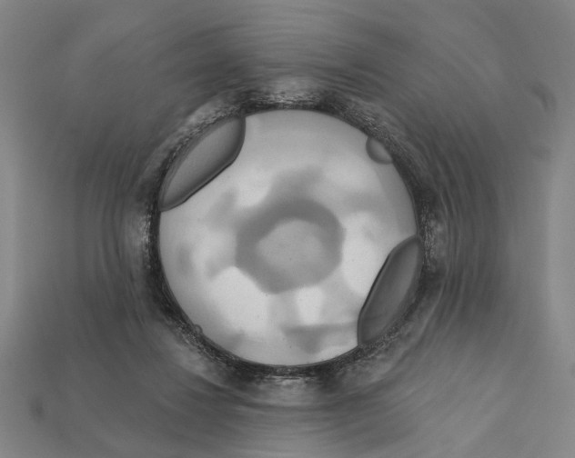 X0000112200260200909181539