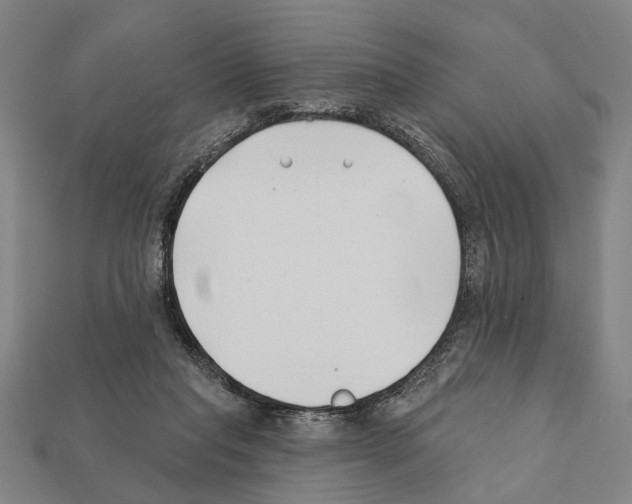 X0000112200261200909181539