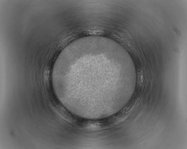 X0000112200263200909181539