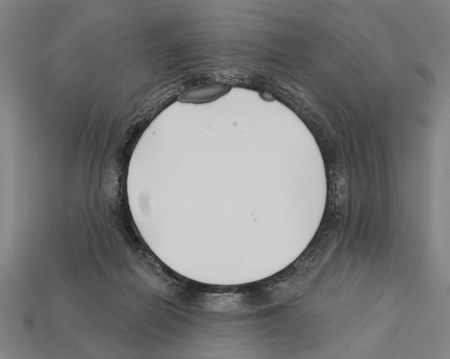 X0000112200266200909181539
