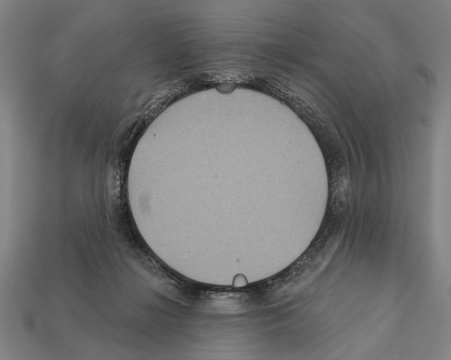 X0000112200268200909181539