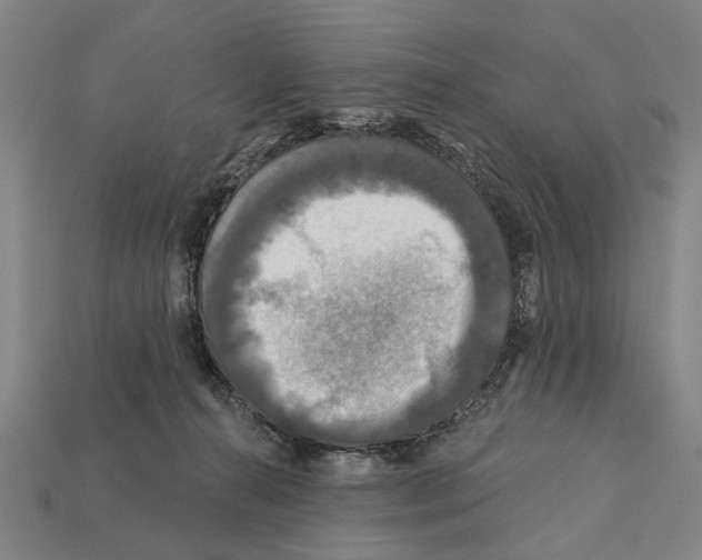 X0000112200272200909181540