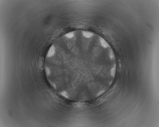 X0000112200273200909181540
