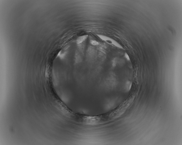 X0000112200277200909181540