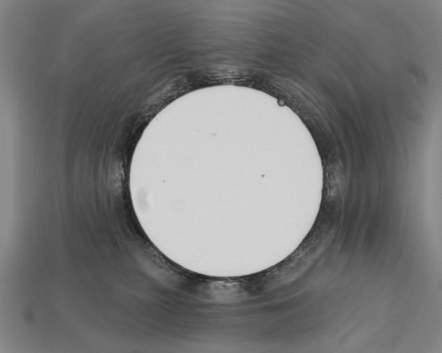 X0000112200279200909181540