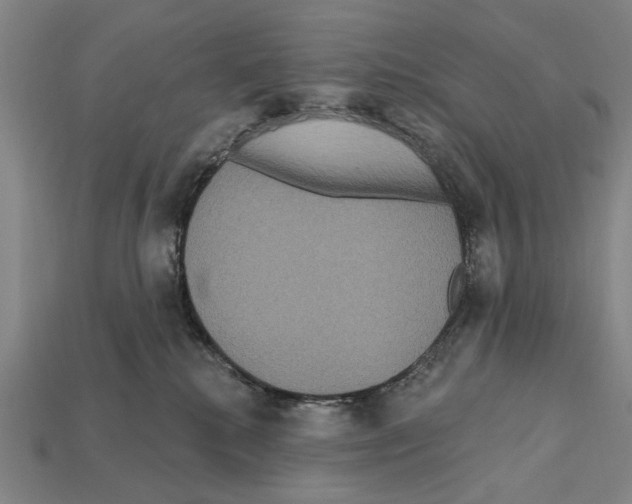 X0000112200280200909181540