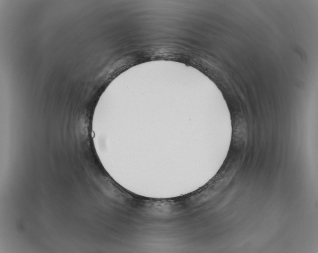 X0000112200282200909181540