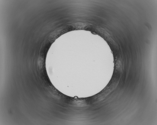 X0000112200283200909181540