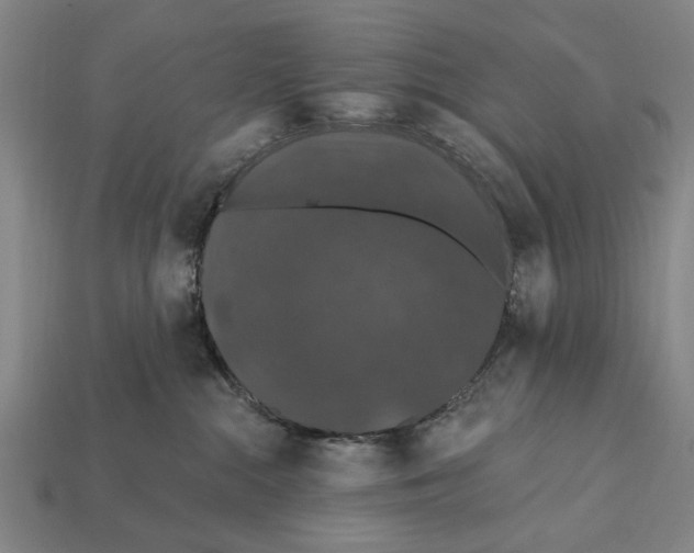 X0000112200284200909181540