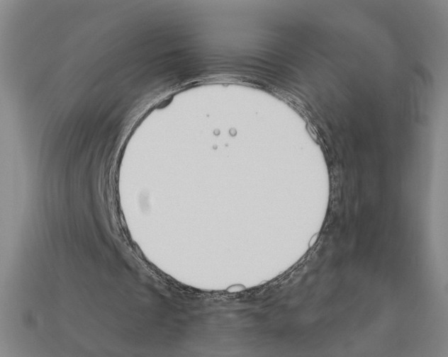 X0000112200289200909181539
