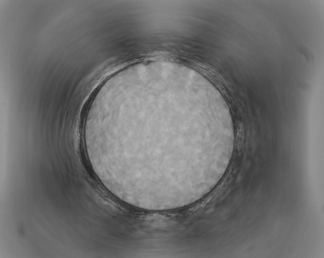 X0000112200290200909181539