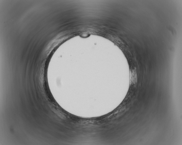 X0000112200291200909181539