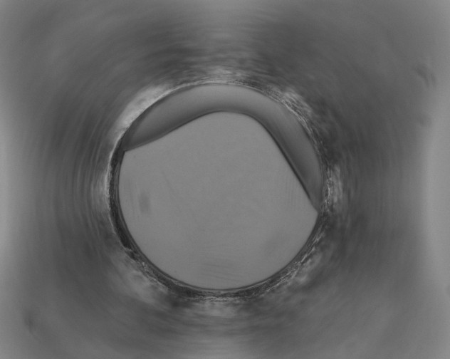 X0000112200292200909181539