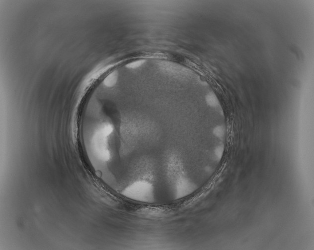 X0000112200294200909181539