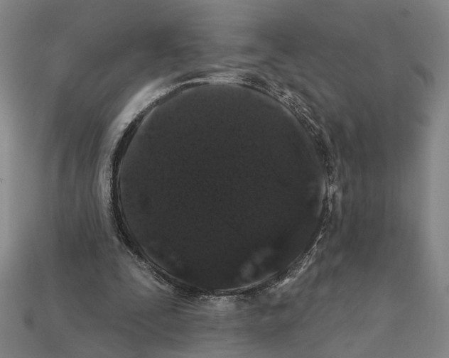 X0000112200295200909181539