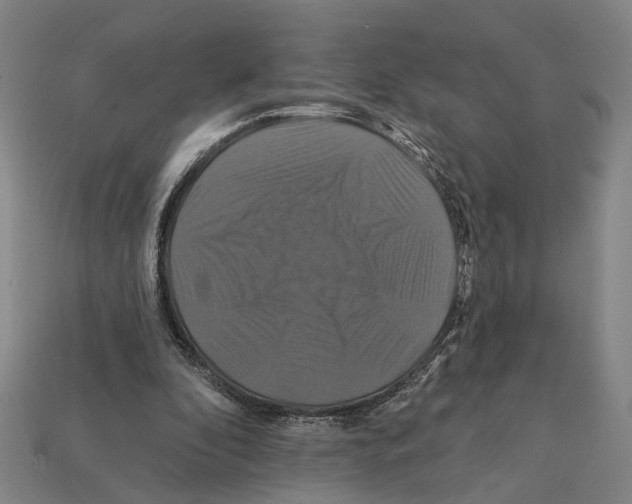 X0000112200296200909181539