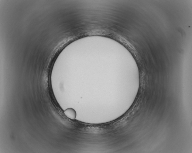 X0000112200298200909181539