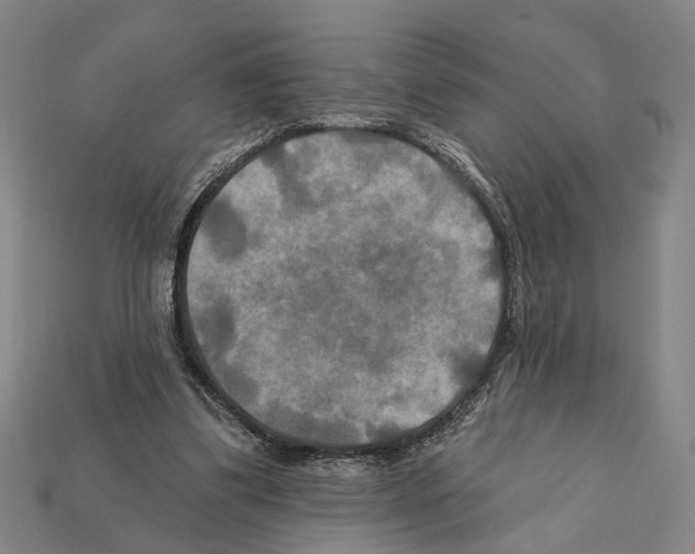 X0000112200299200909181539