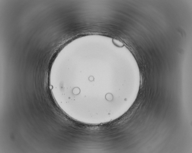 X0000112200301200909181539