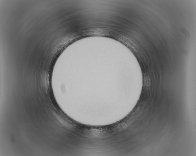 X0000112200302200909181539