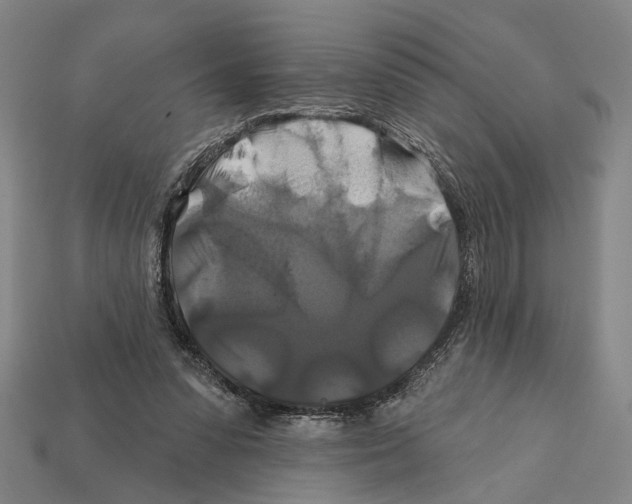 X0000112200303200909181539