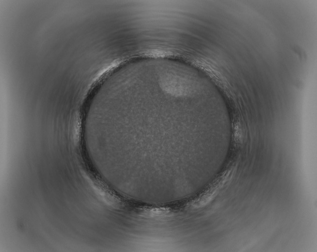 X0000112200304200909181539